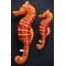 Gaby Seahorse / Morski konjic