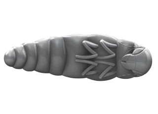 Libra Lures Largo 30