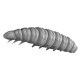 Libra Lures Larva 35