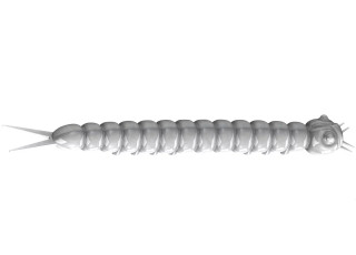Libra Lures Slight Worm 38