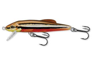 LiveTarget Dace Jerkbait 6 cm