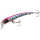 Molix Audace 55 S