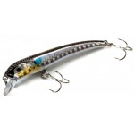 Molix Audace 65 SP