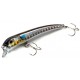 Molix Audace 65 SP