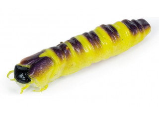 Molix Caimano Worm 3,7 cm