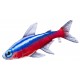 Gaby Neon Tetra / Riba neonka