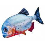 Gaby Red Bellied Piranha / Pirana
