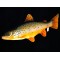 Gaby Brown Trout / Potočna pastrva