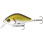 Rapture BB Crank 45 SR