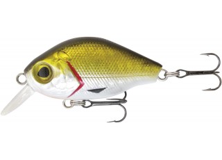 Rapture BB Crank 45 SR
