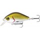 Rapture BB Crank 45 SR