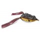Rapture Dancer Frog 6,5 cm