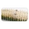 Rapture Teck Sink Nail Insert