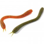 Rapture Rattle Snake 12 cm