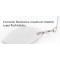 Rapture Sharp Spin Double Willow 21 gr