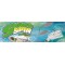 Rapture Sharp Spin Double Willow 21 gr