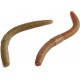 Rapture Wacky Worm 12,5 cm