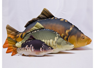 Gaby Carp / Šaran - golać