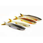 Savage Gear 3D Bleak Real Tail 8 cm