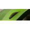 FishUp Tanta 1,5'' (4,2 cm)