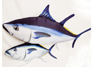 Gaby Atlantic Bluefin Tuna