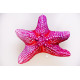 Gaby Starfish / Zvjezdača