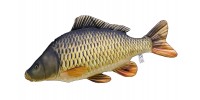 Riječne ribe / Freshwater Fish