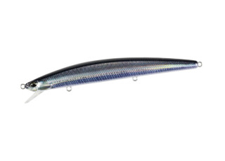 SNA0842 - Real Anchovy