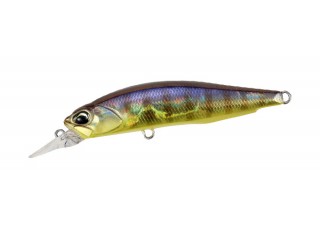 ADA3197 - Violet Gill YB