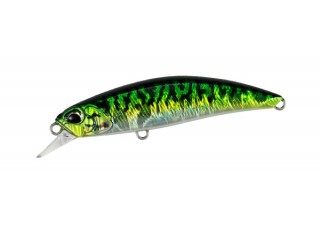 CPA0263 - Green Mackerel