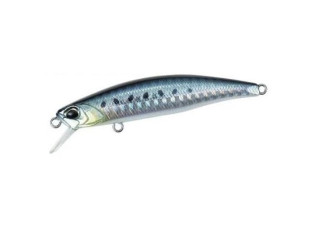 AHA0011 - Sardine