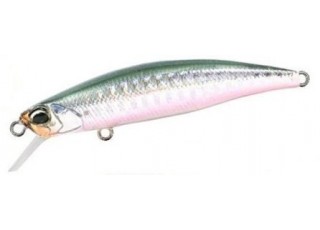 DHN0402 - Belone