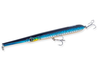 Blue Mackerel