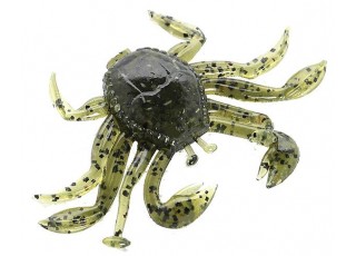 106 - Watermelon / Seed