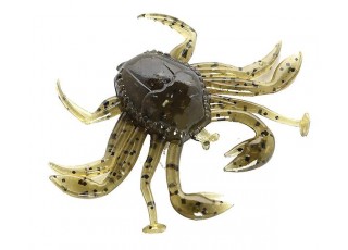 120 - Green Pumpkin / Seed