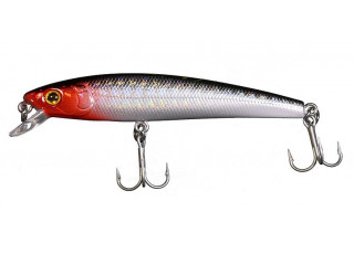 Silver Minnow