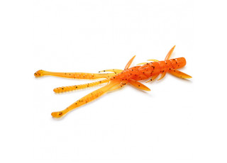 049 - Orange Pumpkin / Black