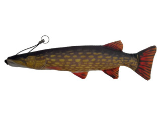 Štuka / Pike