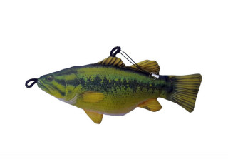 Bass / Largemouth Bass