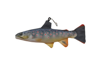 Pastrva / Brown Trout