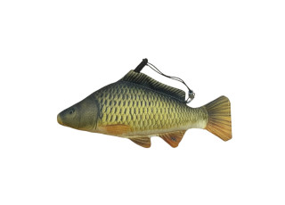 Šaran / Common Carp
