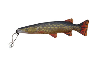 Štuka / Pike
