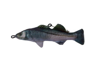 Brancin / Seabass