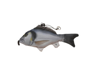 Orada / Seabream