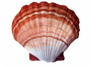 narančasta / orange