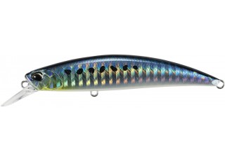 AHA0011 - Sardine