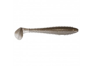 429 Tennessee Shad