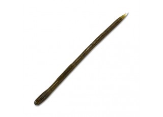 817 - Dark Green / Pumpkin Seed