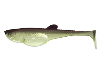 031 - Olive Whitefish