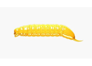 008 - Dark Yellow / No Taste